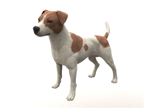 Collection of dogs 3D Model $64 - .obj - Free3D