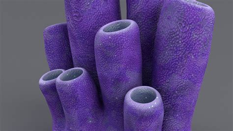 3D Coral Tubes - TurboSquid 1478549