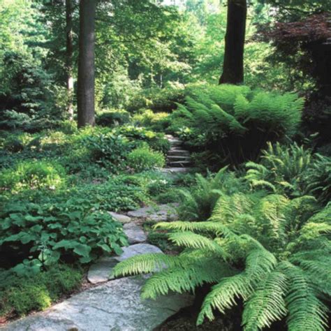 25 Vibrant Shade Garden Ideas to Spark Color in Dark Corners