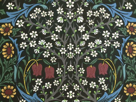 Morris mania | Meer