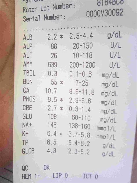 Vet Unavailable? What Do Your Dog's Elevated Kidney Results Mean? | Petco