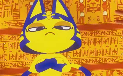 【猫片】埃及猫原版视频_哔哩哔哩_bilibili