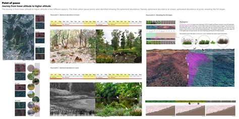 Experiencing the ephemeral abundance | CEPT - Portfolio