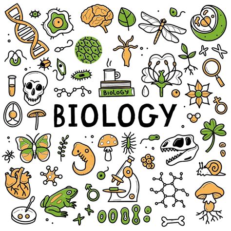Biology doodle set collection of hand drawn elements science biology isolated on a white ...