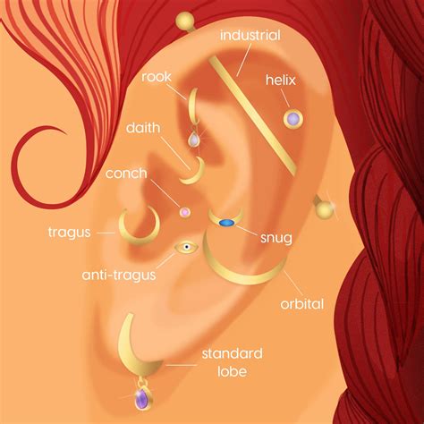 Image result for Daith Piercing Guide