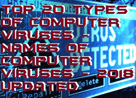 Image result for Most Common Computer Viruses