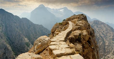 Road Bumpy Ride 的图像结果