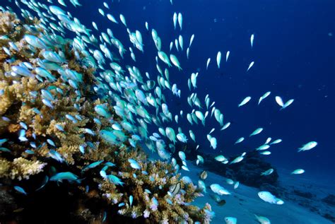 Workshop: Natural Marine Resource Management in a Changing Climate ...