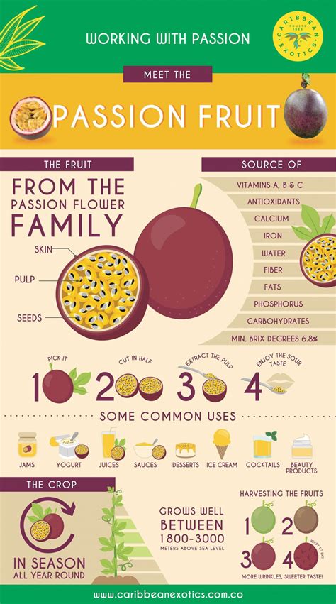 Meet the passion fruit | Caribbean Exotics