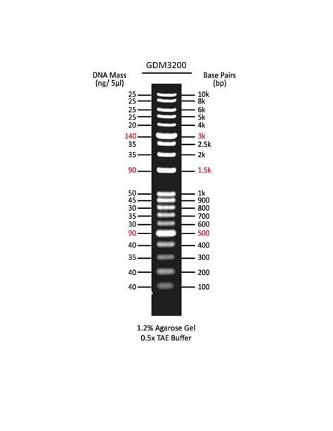 DNA Ladder – 1KB Plus (0.1-10 kb) – Genxbiomed