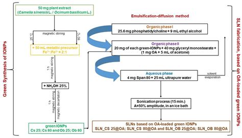 A Preliminary Report Regarding the Morphological Changes of Nano ...