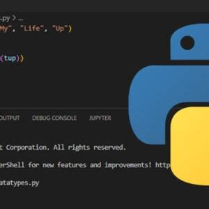Image result for How to Stop Running Python Script in Terminal