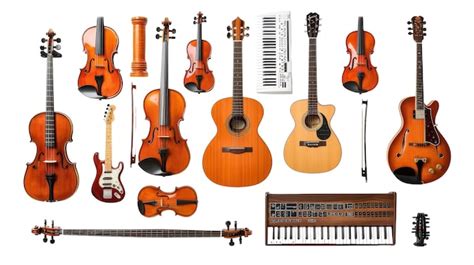 Image result for Stringed Instruments
