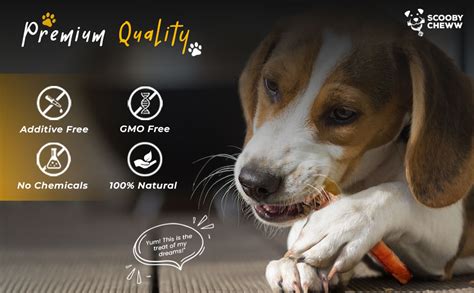Scooby Cheww Organic Dried Bully Chew Thick Sticks 100% Natural Protein ...
