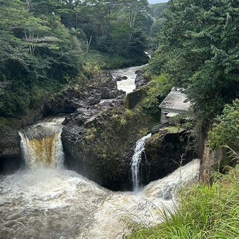 O.K. FARMS (THE FARM AT RAINBOW FALLS) (2026) All You Need to Know ...