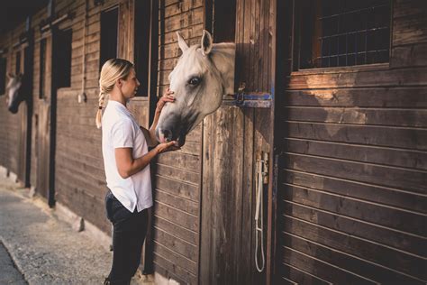 Horse Stables Inside