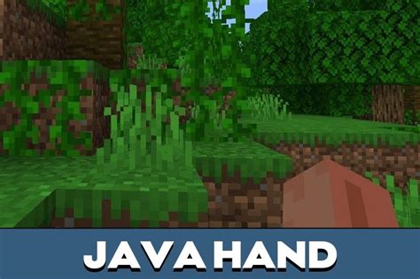 Image result for Custom Hands Minecraft Mod