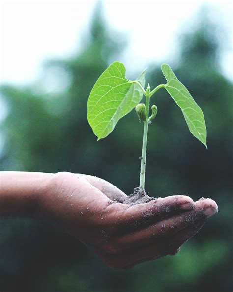 Pranjal Corporate Services Pvt Ltd