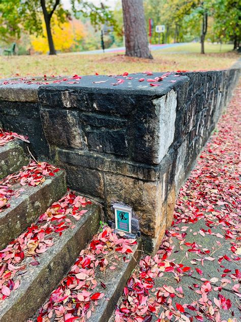 Tiny Door 20 - Coan Park in Atlanta, Georgia | Whats In Atlanta