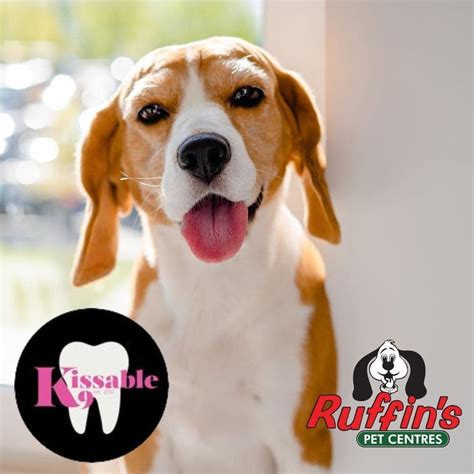 Kissable K9 February 2024, 589 Broadway St, Tillsonburg, ON N4G 3S8 ...