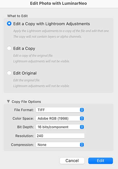 Image result for Luminar Neo Icon Folder