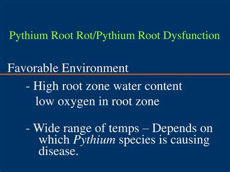 Image result for Pythium Root Rot Signs