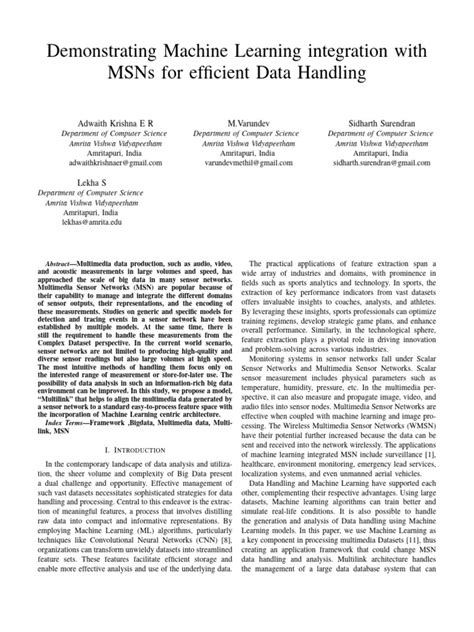 IEEE Conference Paper Example 的图像结果