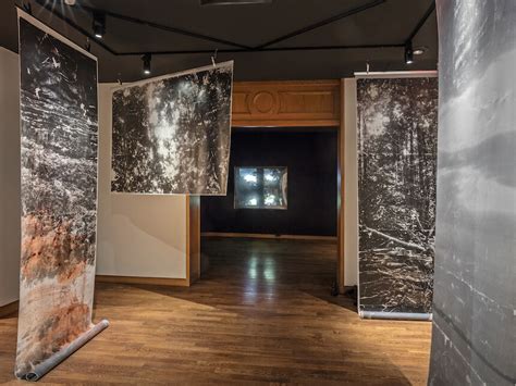 Sandra Brewster, A Trace, 2017. Installation view: Master of Visual ...
