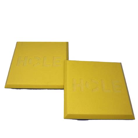 8″ Floor Sink Drive Cover | SmartGuard