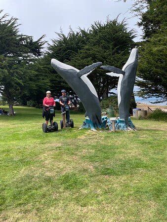 Segway Tours Monterey (Pacific Grove) - 2022 What to Know Before You Go ...