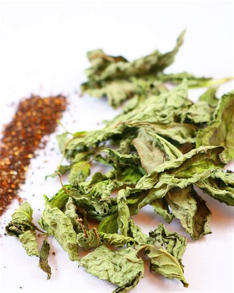 How to Dehydrate Mint for Herbal Teas and Drinks | Dehydrate2Store
