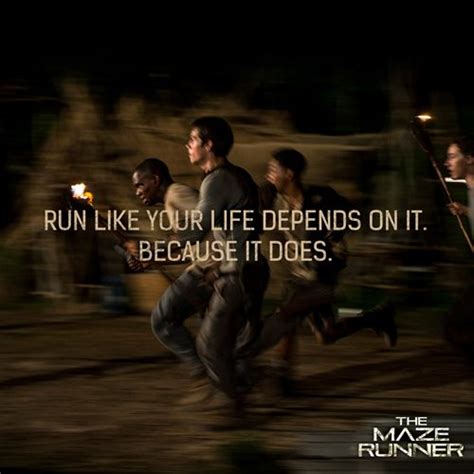 Image result for Maze Runner Explained