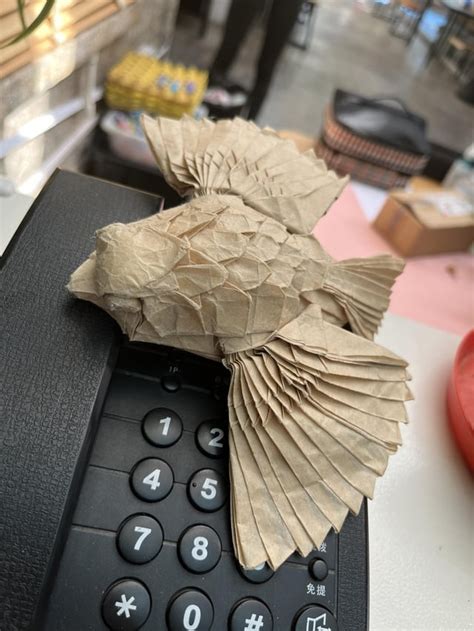 Image result for Origami Hawk