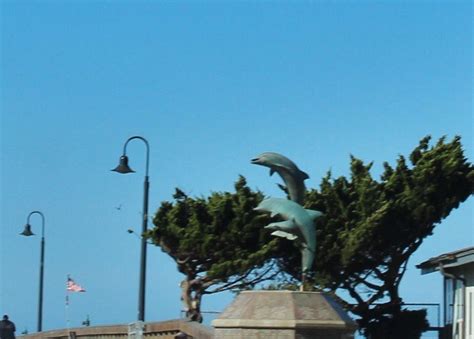 DOLPHIN STATUE (2026) All You Need to Know BEFORE You Go (with Reviews ...