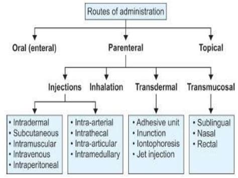 Intradermal vs Subcutaneous Injection 的图像结果