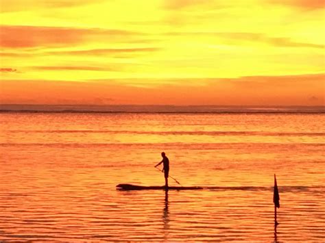 TAHITI DREAM TOURS (2026) All You Need to Know BEFORE You Go (with ...