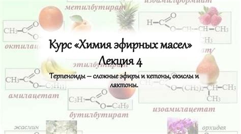 Курс «Химия эфирных масел». Лекция 4 - презентация онлайн