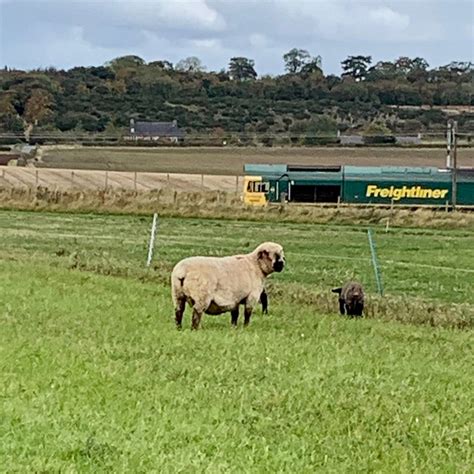 THE BRAND FAMILY, EAST FORTUNE FARM (North Berwick, Scotland ...