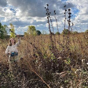 Awareness, Art, & Action: Seeds Please! , Hemlock Crossing County Park ...