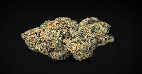 A Guide to the Rocky Road Cannabis Strain