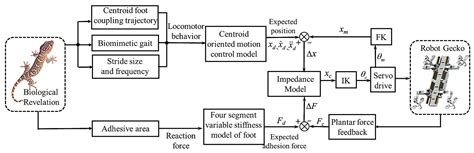 Bioinspired Rigid–Flexible Coupled Adaptive Compliant Motion Control of ...