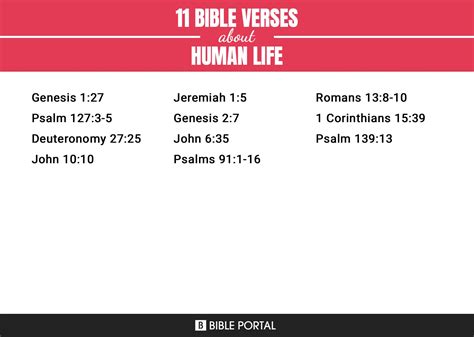 Image result for Scriptures for Keeping Humanity Alive