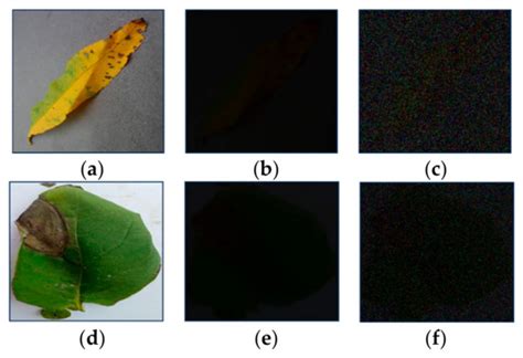 Fractal Fract | Special Issue : Fractional Order Complex Systems ...