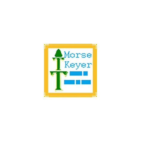 Image result for Morse Code Keyer Software