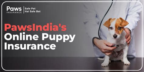 India's First Ever Online Pet Insurance for Dogs By PawsIndia – Pawsindia