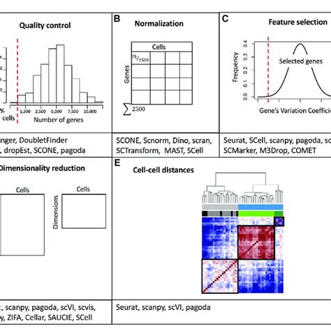 Image result for Data Processing Software Examples