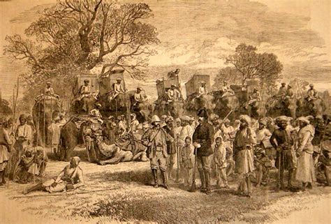 Why are we still fascinated by tales of the ‘shikaar’ despite the ...