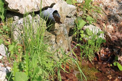 Image result for Fillongley Spring Water Source