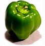 Image result for 甜椒 Sweet bell peppers