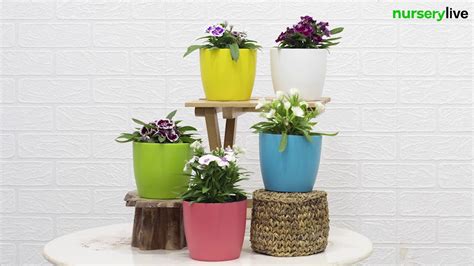 Plantscaping (1/4) - How top co-working spaces are modernizing the ...
